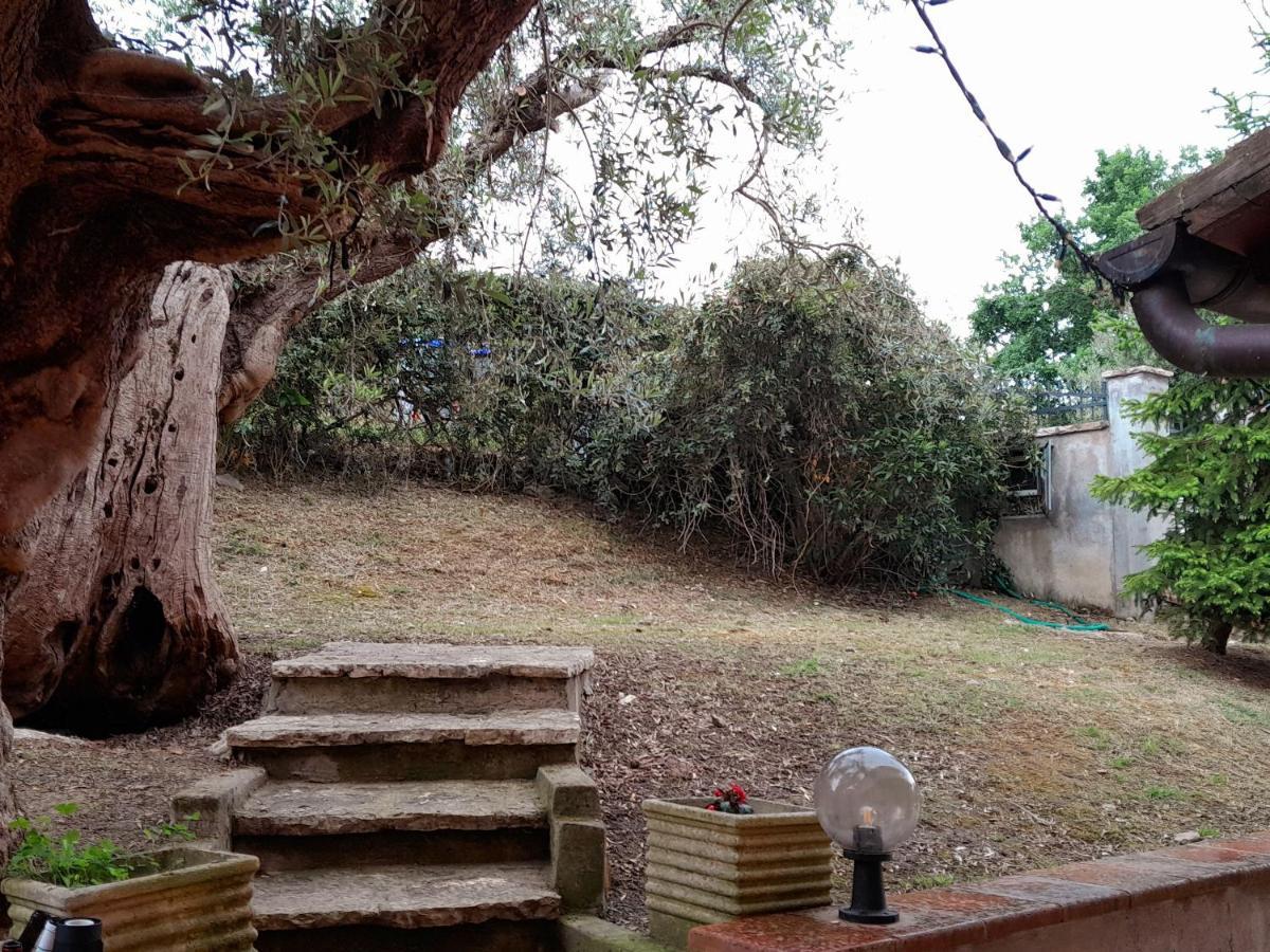 I Gufetti 2 Apartment San Savino  Exterior photo